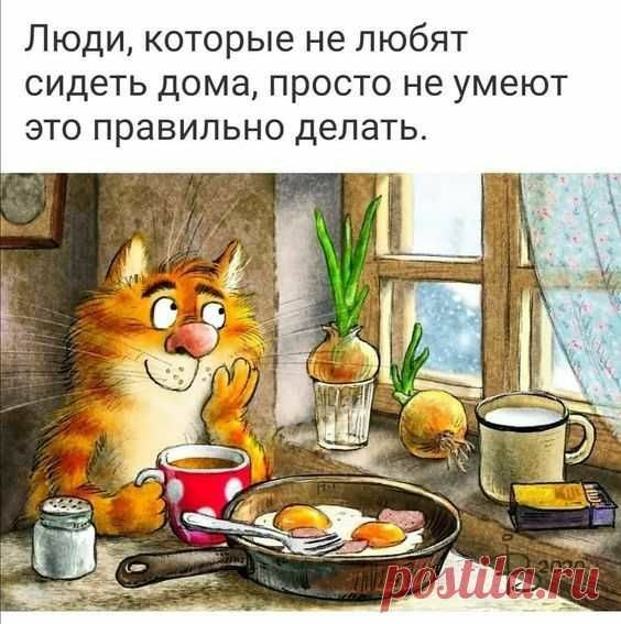 Люди которые не любят сидеть дома просто не умеют это правильно делать