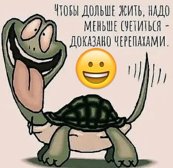 _ ЧЮБЫ ДОЛЬШЕ ЖИТЬ НАДО МЕНЬШЕ ЧПИТЫЯ ДОКАЗАНО ЧЕРЕПАХАМИ
