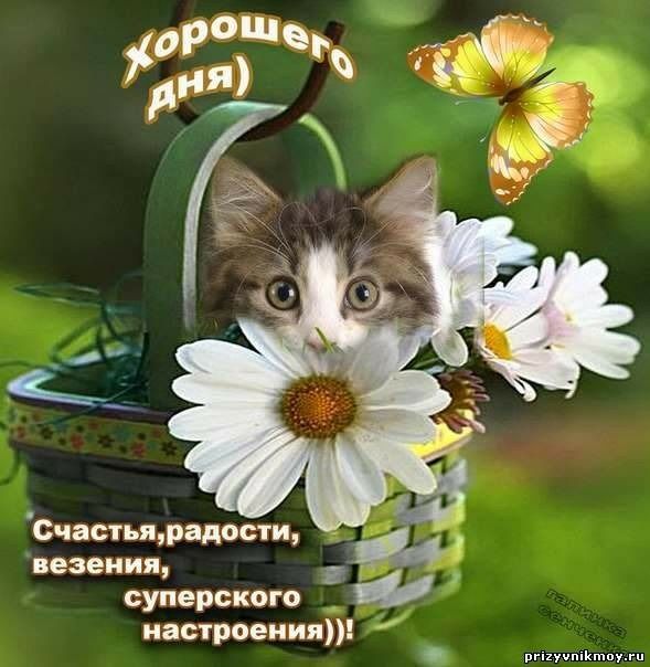 Счастьщрадости везения суперского настроения