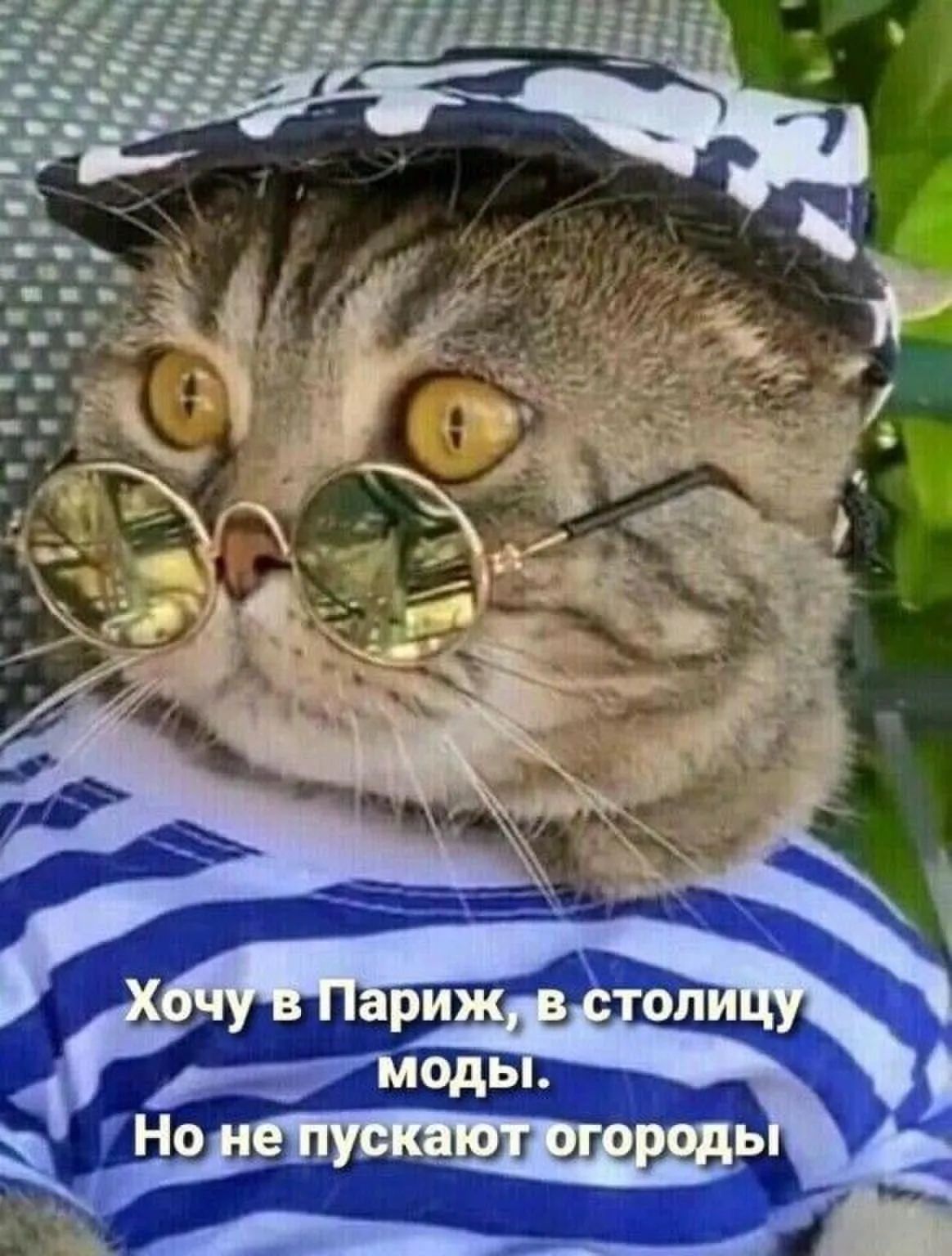 Г в пущу ш Зшщ