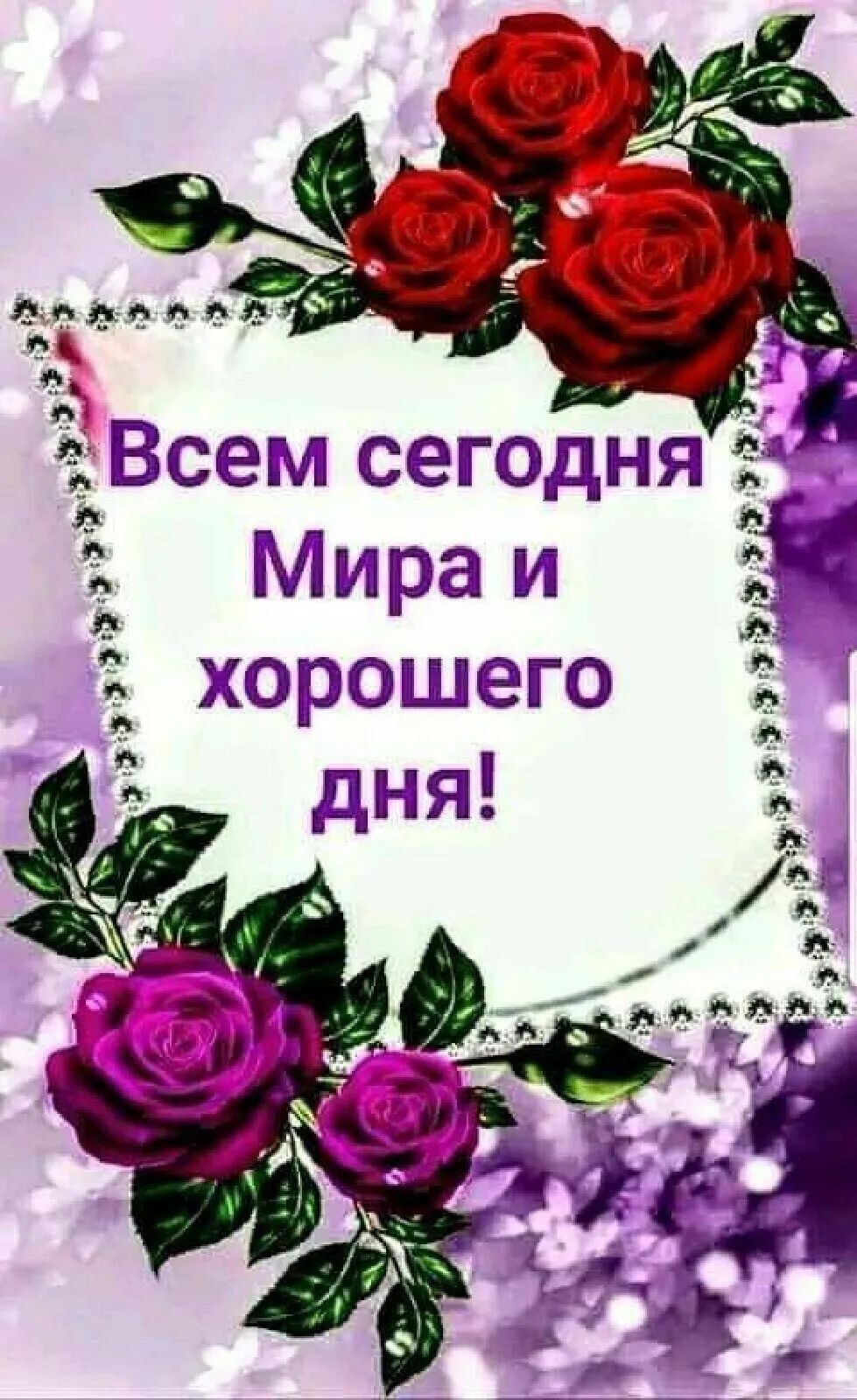 3 Е я Ё а и а а Мира и Я