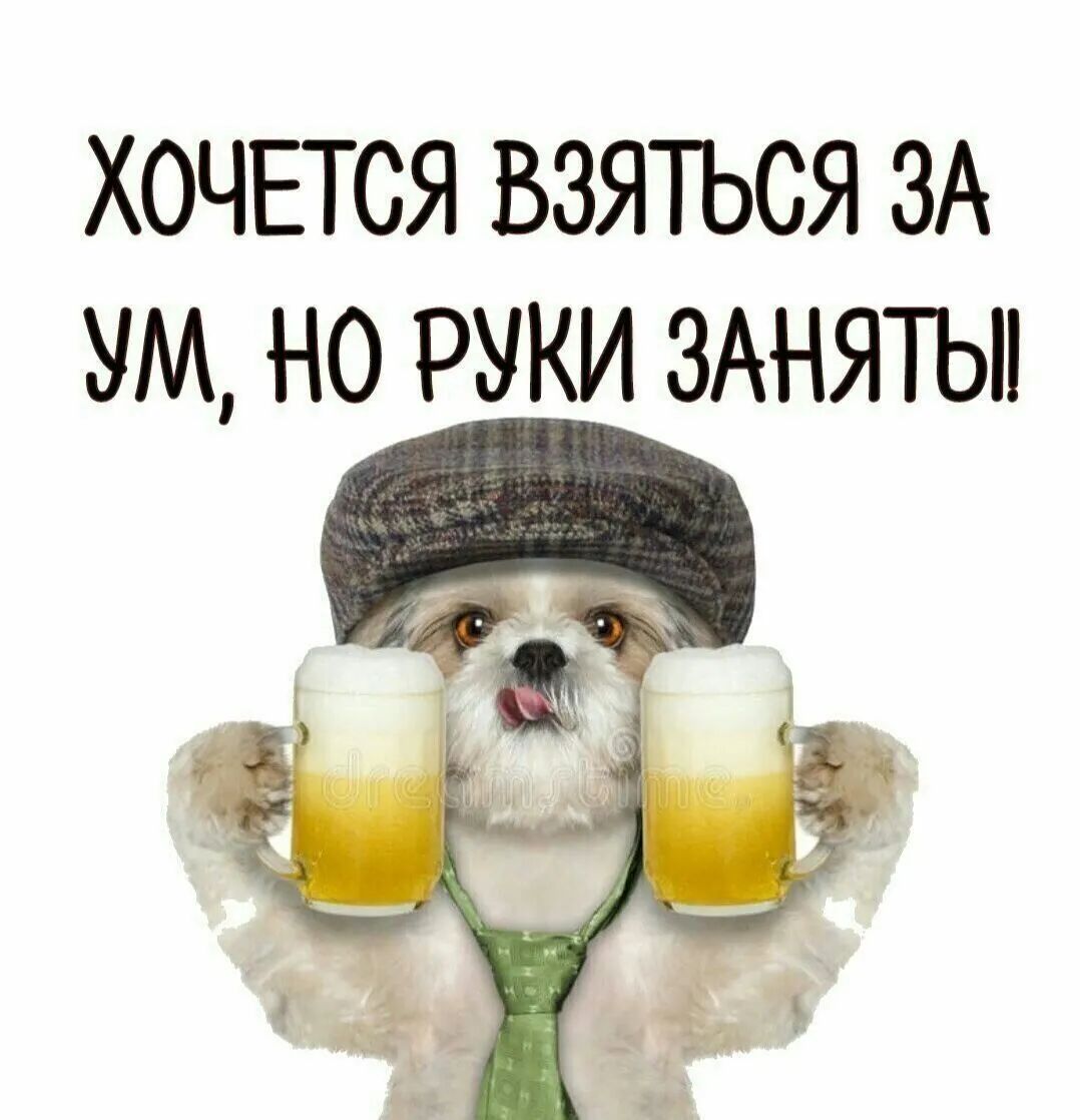 ХОЧЕТСЯ ВЗЯТЬСЯ ЗА УМ НО РУКИ ЗАНЯТЬП