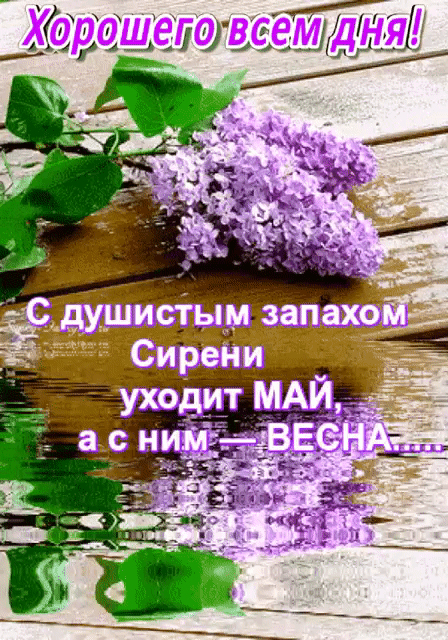 к шддс 41 _ 1