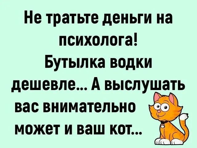 Не тратьте деньги на психолога Бутылка водки дешевле А выслушать вас внимательно 9 может и ваш кот