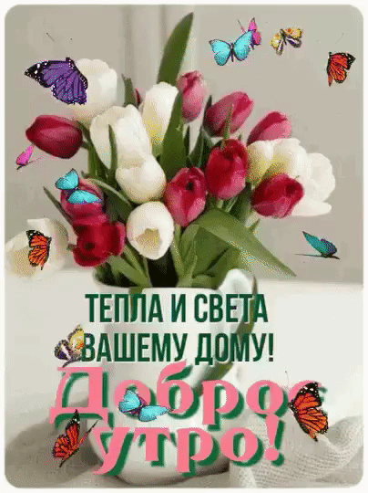 А И ВВ ЫАШЕМ Г _ т