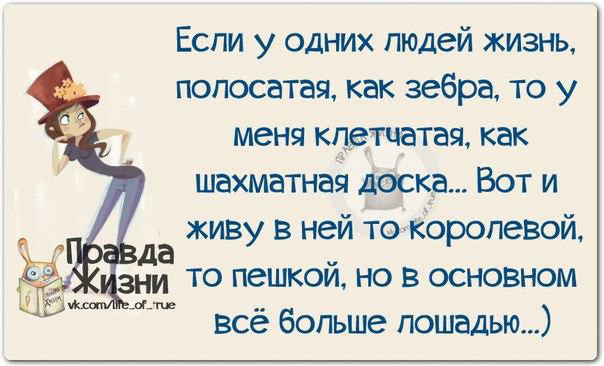 Если у одних людей жизнь полосатая как зебра то у меня кпетцатая как шахматная доска Вот и живу в ней то королевой всё богьше лошадью