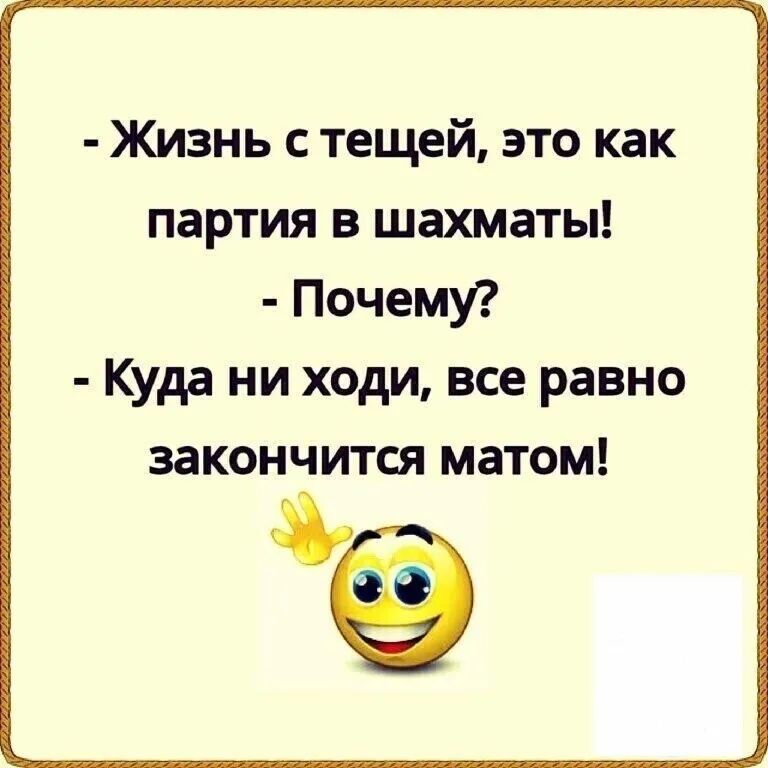 Жизнь с тещей это как партия в шахматы Почемуг Куда ни ходи все равно закончится матом