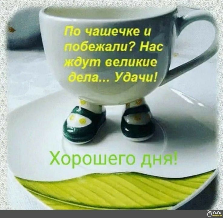 али Нас великие Удачи