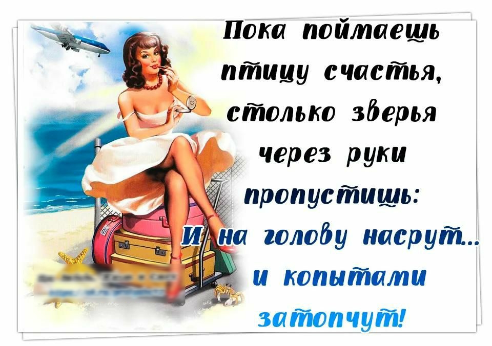 Пока поймаешь птицу счастья столько зйерья через руки пропустишь и копытапи штоп аут