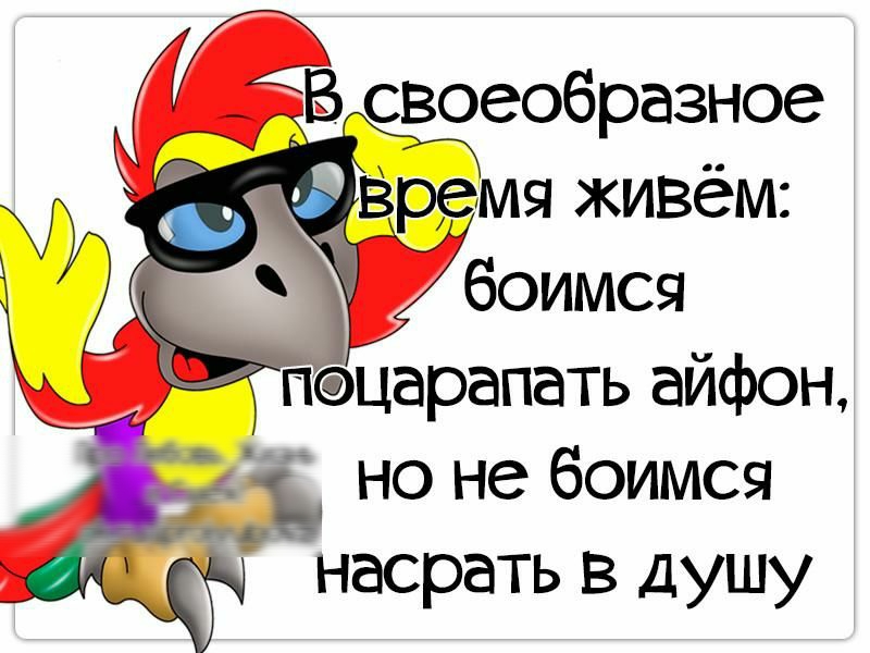 А Ёвёзеобразное пацарапать айфон но не боимся насрать в Душу