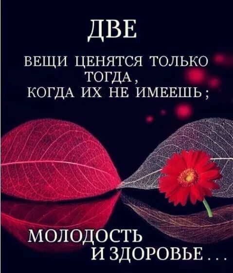 ДВЕ ВЕЩИ ЦЕНЯТСЯ ТОЛЬКО ТОГДА КОГДА ИХ НЕ ИМЕЕШЬ МОЛОДОСТЬ И ЗДОРОВЬЕ