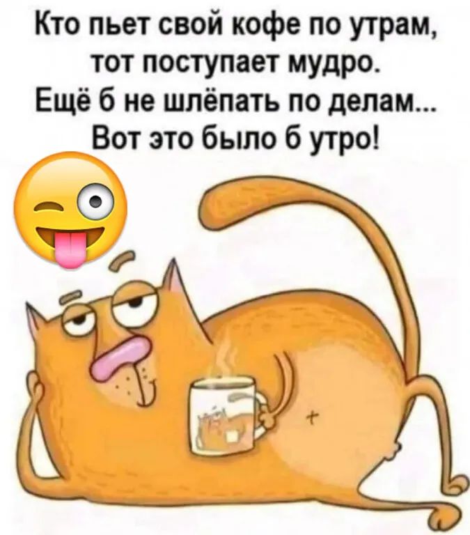 Кто пьет свой кофе по утрам тот поступает мудро Ещё 6 не шлёпать по делам Вот это было б утро