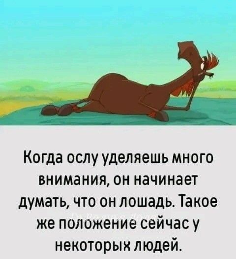 Когда ослу уделяешь много внимания он начинает думать что он лошадь Такое же положение сейчас у некоторых людей