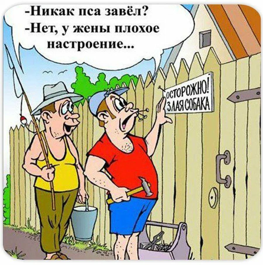 _Никак пся завёл Нет у жены плохое настроение г