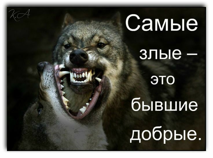 Самые это бывшие добрые