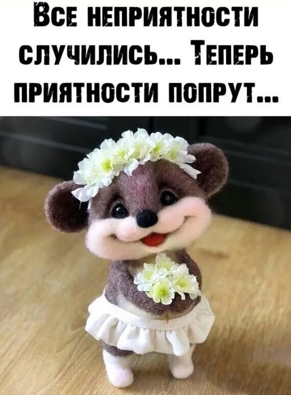 ВсЕ НЕПРИЯТНОСТИ СЛУЧИЛИСЬ ТЕПЕРЬ ПРИЯТНОСТИ ПОПРУТ