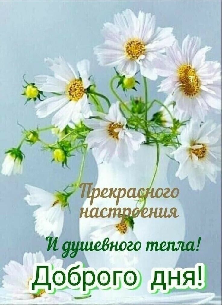 доброго дня