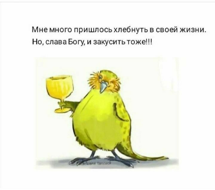 Мне много пришлось хлебнуть в своей жизни Но слава Богу и закусить тоже