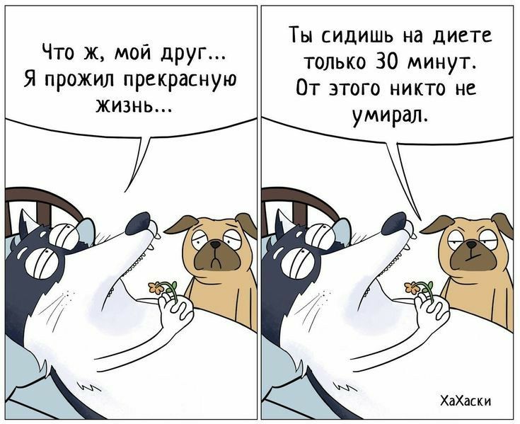 Ты сидишь на шлет Что ж друг только 30 минут Я прожил прекрасную От этого никто ни жизнь