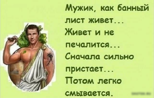 Мужик как банный лист живет Живет и не печалится Сначала сильно пристает Потом легко смывается