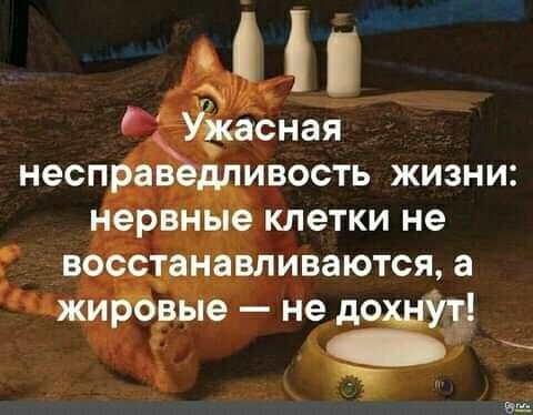 ц УЬнасная несправедливость жизни нервные клетки не восстанавливаются а жирбвые не д _ иш