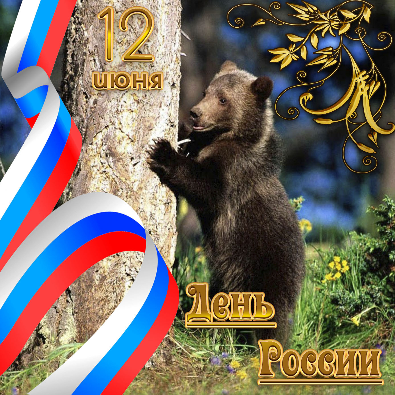 ОССИЙ