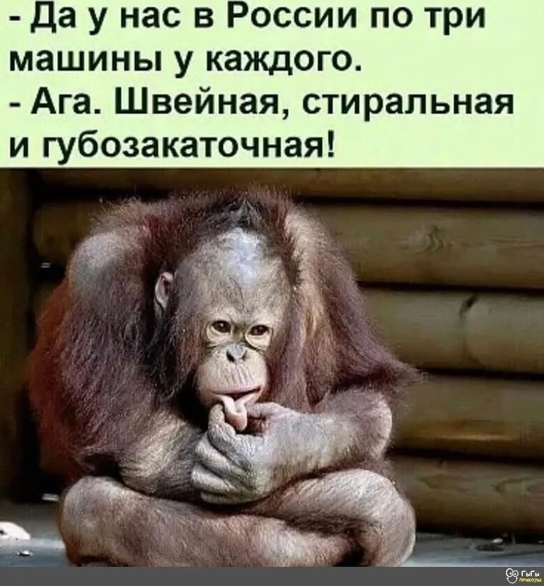 Да у нас в России по три машины у каждого Ага Швейная стиральная и губозакаточная