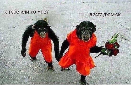к тебе ипи ко мне в ЗАГС дУРАЧОК