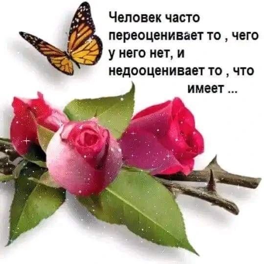 Человек часто пвреоцеиивает то чего у него нет и иедооценивает то что