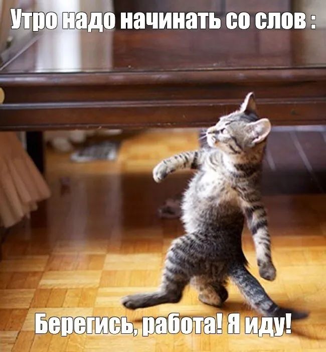 ЖУМЁЁШЩЁ со спанч
