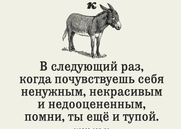 В следующий раз когда почувствуешь себя ненужным некрасивым и недооцененным помни ты ещё и тупой