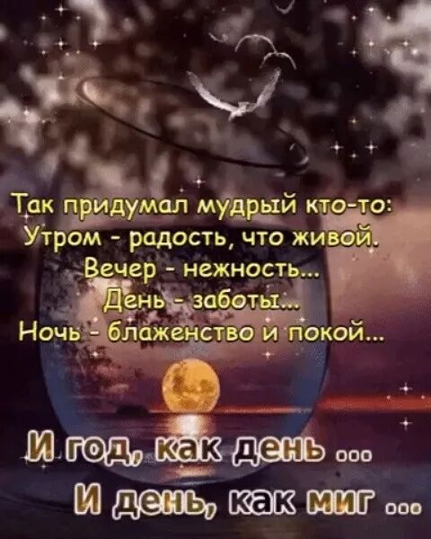 _ ром радость что ж о