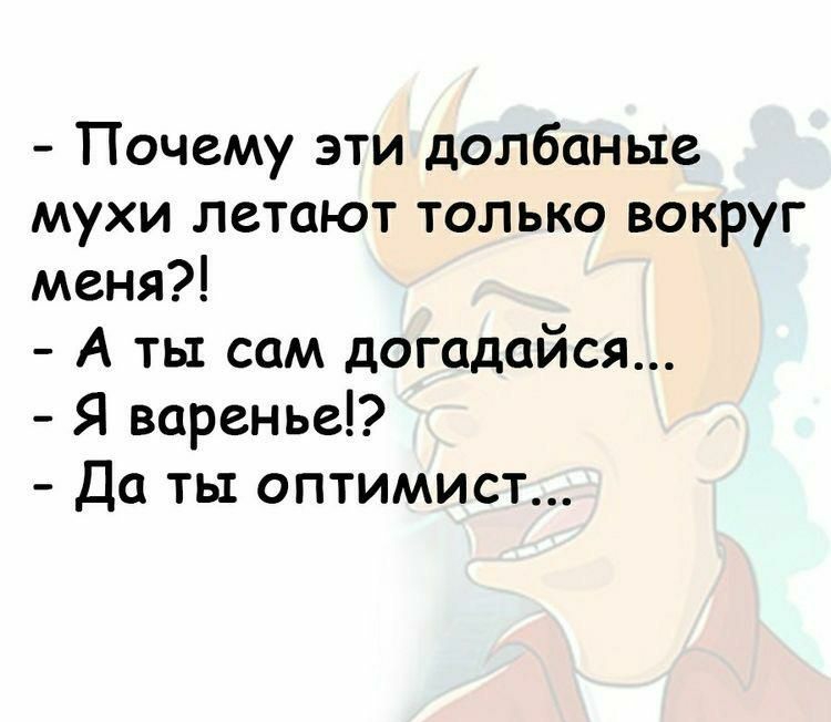 Почему эти долбаные мухи летают только вокруг меня А ты сам догадайся Я варвнье Да ты оптимист медсотгш