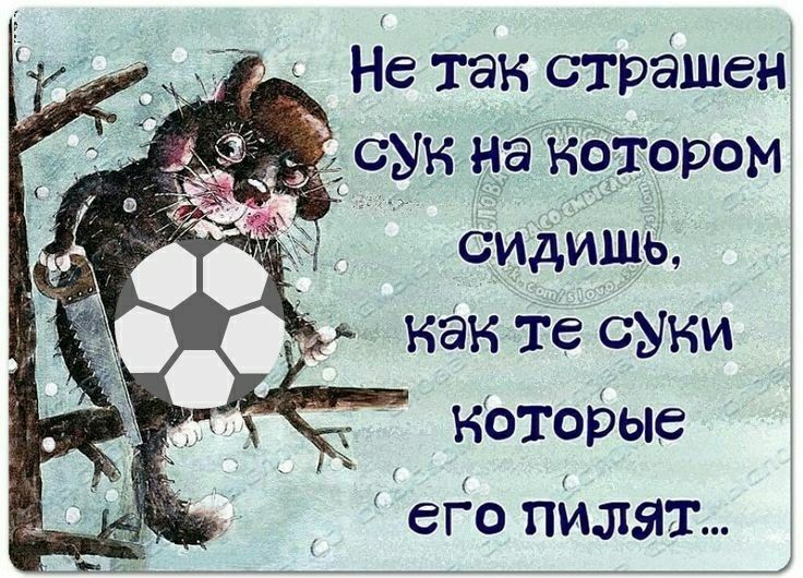 Не так страшен _ сук на котором СИдИШЬ как те суки КОТОрые егЪ пилят