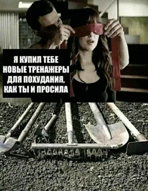 Ф шш пн ипытшшы шиншил И пюшд