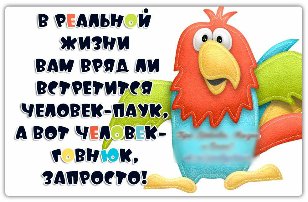 пдпьн й жизни или вид ии виснит цивик мж А вот чщ шк т вник просто