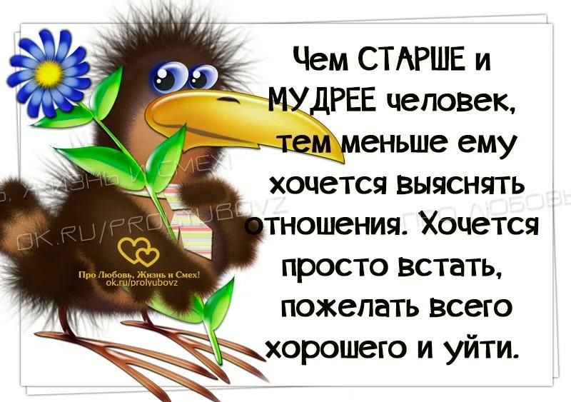 Чем СТАРШЕ и МУДРЕЕ человек игменьше ему хочется Выяснить тношения Хочется просто встать пожелать всего хорошего и уйти
