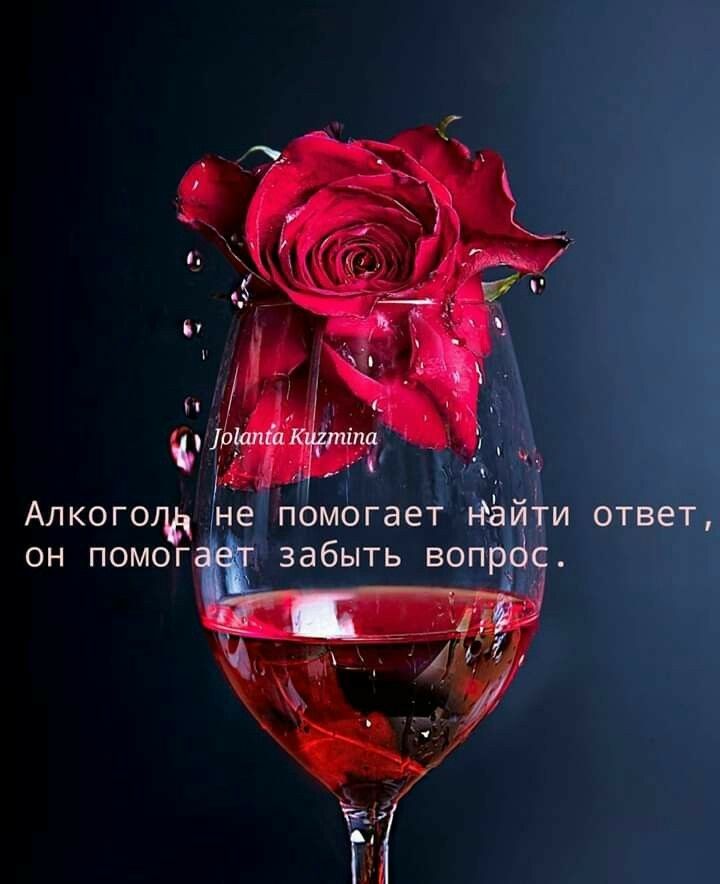 Алкогогцд не помогает нёйти ответ он помог т забыть вопрдс