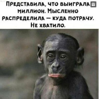 Пндстдвилм что выиггмдв пиллион Нысмино РАСПРЕДЕЛИЛА кудд потРАчу Н хмтило