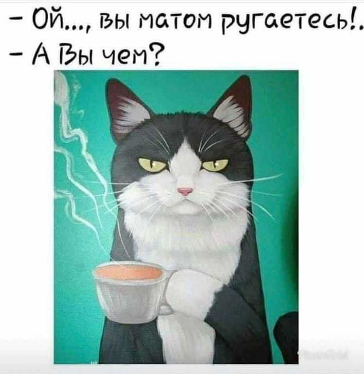 Ой вы патом ругаетесьі А Вы чеи