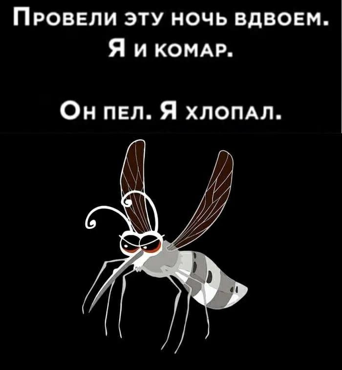 Провели эту ночь вдвоем Я и КОМАР Он пел Я ХЛОПАП