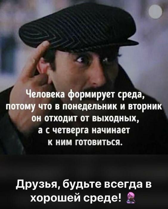 _ опека формирует среда что в понедельник и вторни он отходит от выходных а с четверга начинает к нии готовиться друзья будьте всегда в хорошей среде