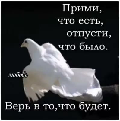 Прими что есть отпусти что бЫАо любо Верь в точто будет