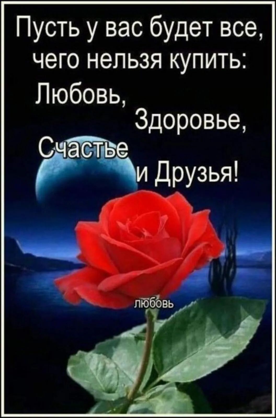 Пусть у вас будет все чего нельзя купить Любовь Здоровье С Йи Друзья