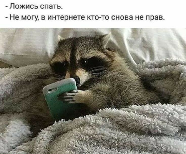 _ Пожись спать Не могу в интернете ктото снова не прав