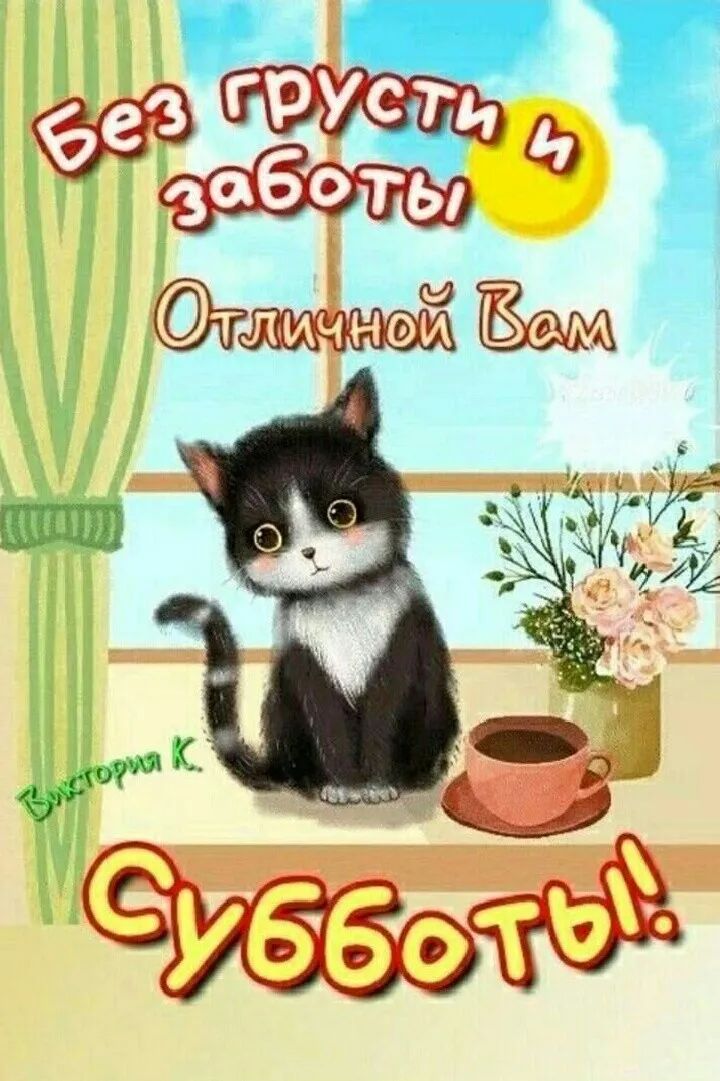 306 0 Ты Ф тж Ваза