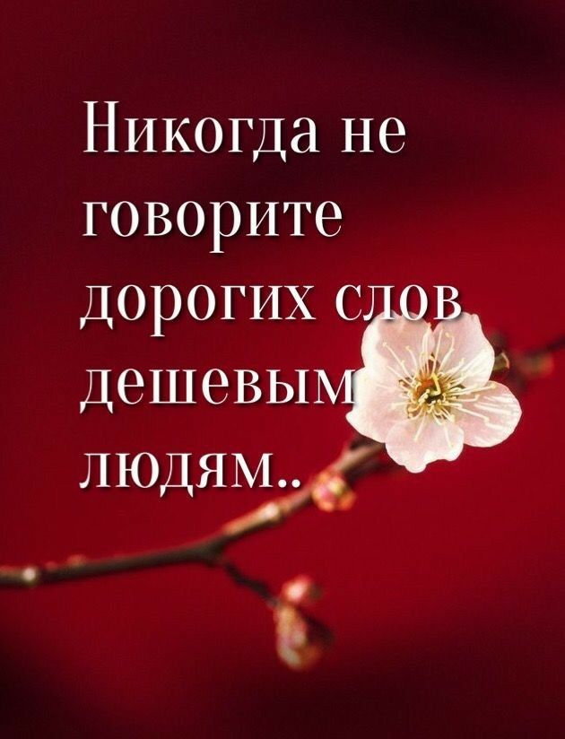 Никогда не говорите дорогих с дешевы ЛЮДЯМ