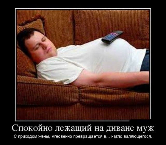 Спокойнп лежащий на диване муж Сприходш иии мтспщоппиращппчв ипповапищегося