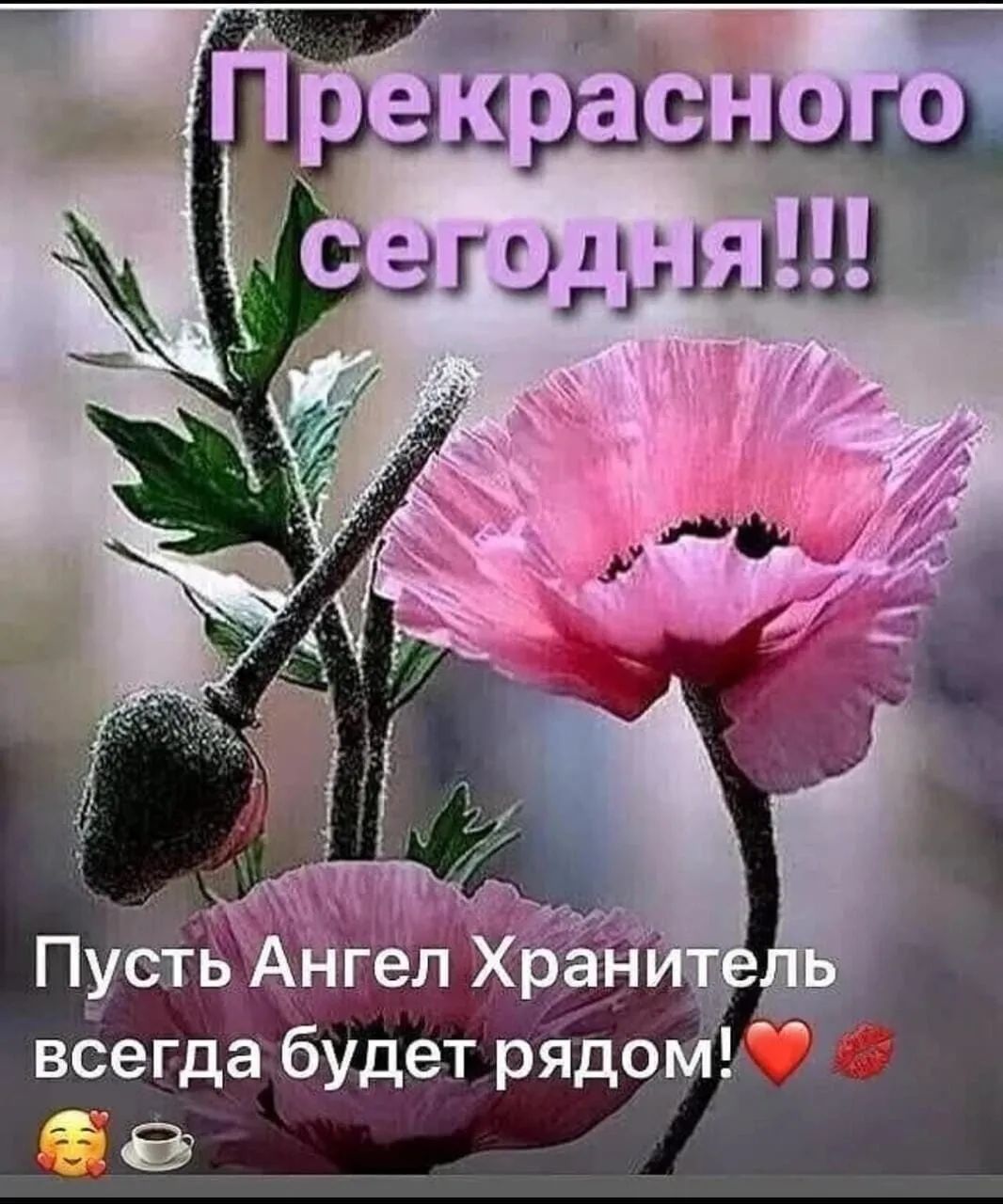 и в с _ мыш і Пуёгьідгелі ХЬЁН всегда будет рядом в ___