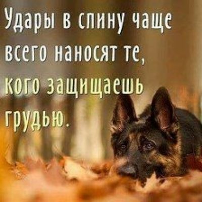 Жары в спину чаще